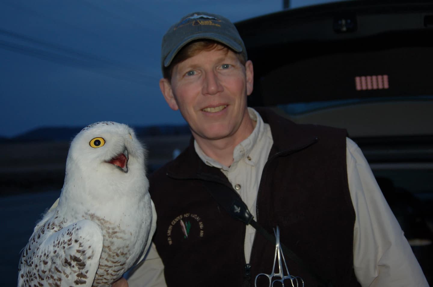 Episode 12: The global Odyssey of migratory birds with Scott Weidensaul