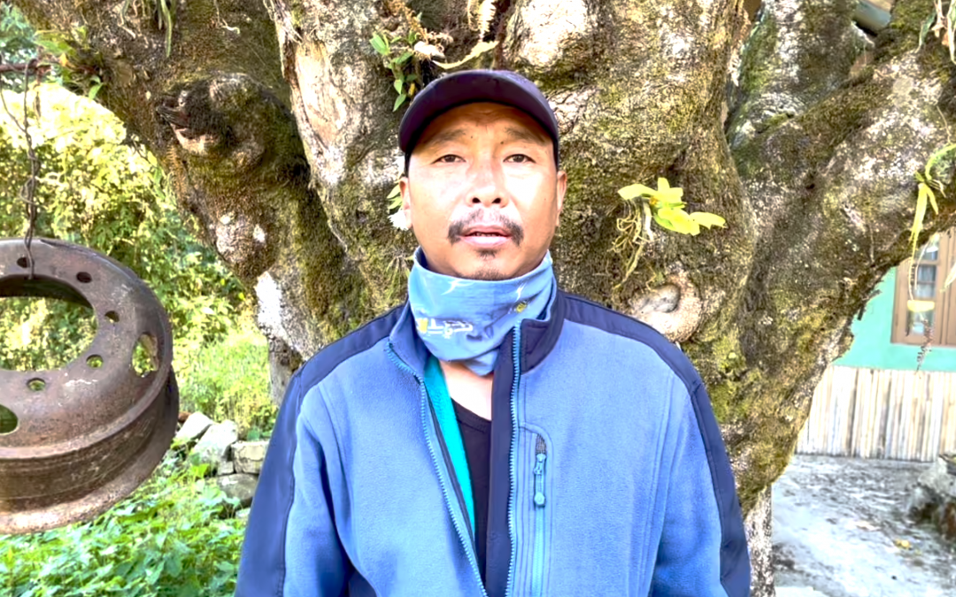 Angulie Meyase Nagaland